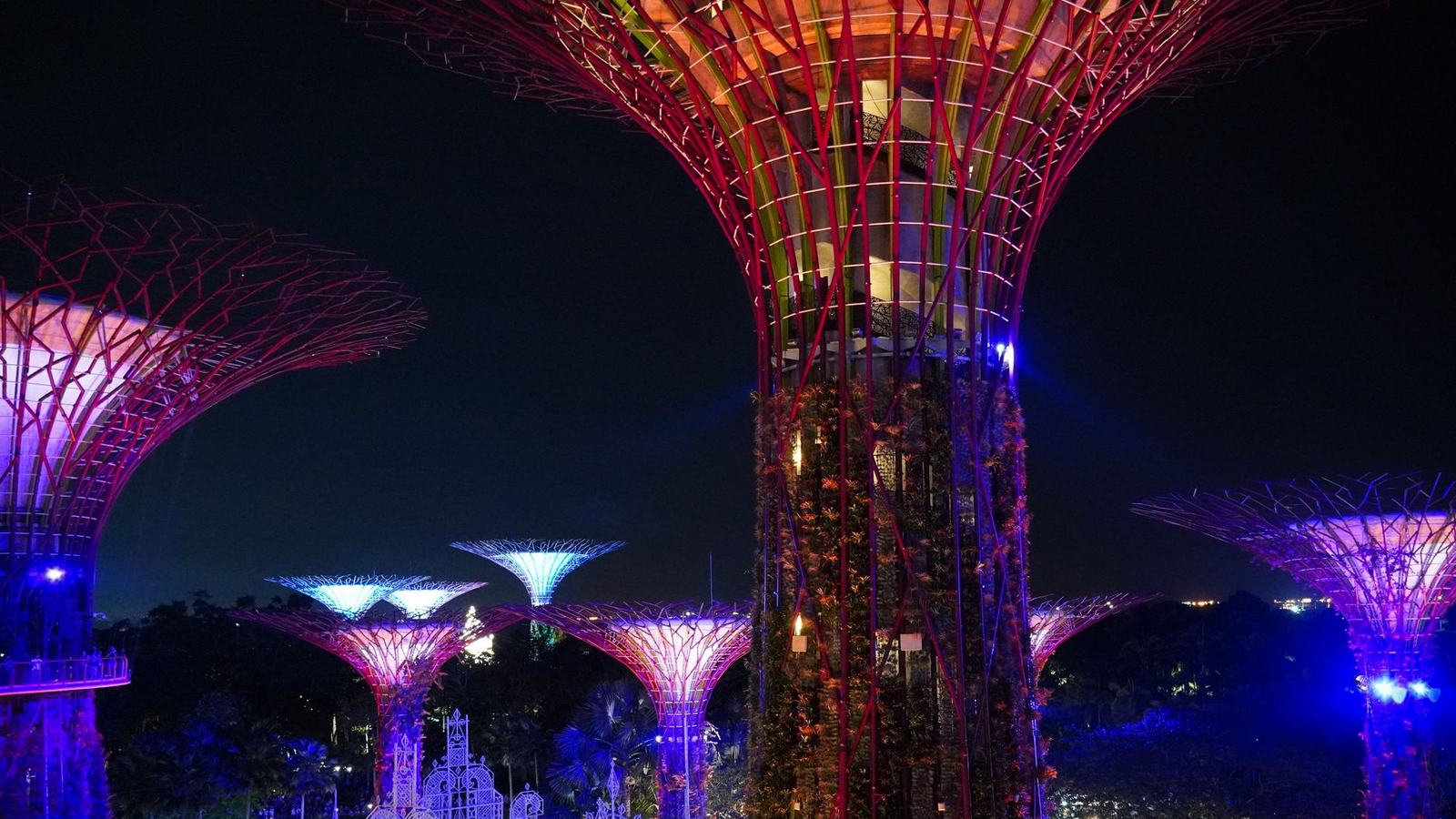 Gardens by the Bay, Singapore: Supertrees, Cooled Conservatories and the Evening Light Show
