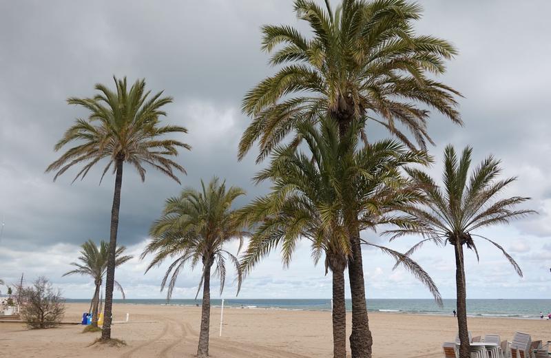 Best Places to Travel in January: Winter Sun, Dry-Season Jungles and the Cheapest Cities of the Year
