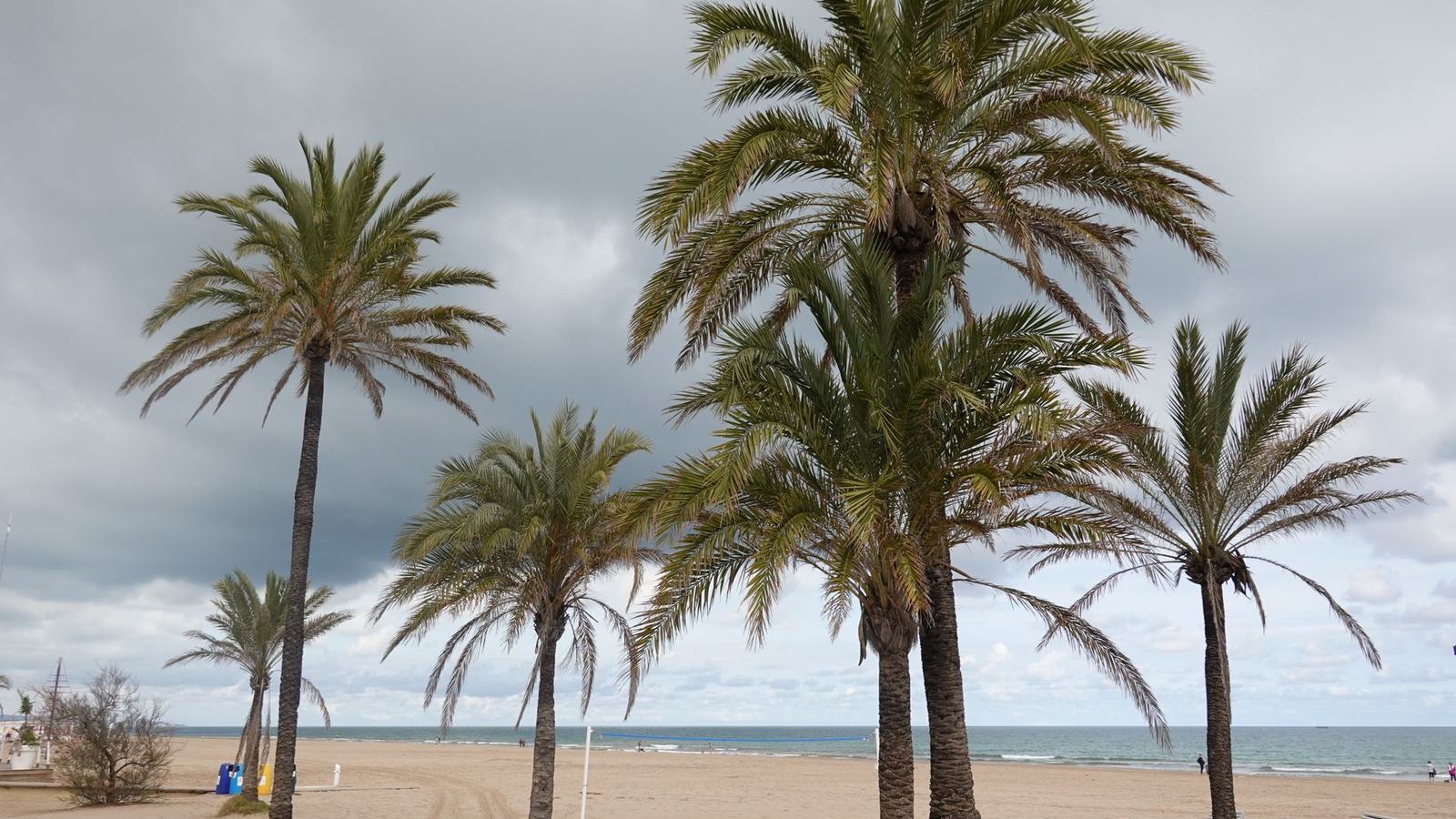Best Places to Travel in January: Winter Sun, Dry-Season Jungles and the Cheapest Cities of the Year