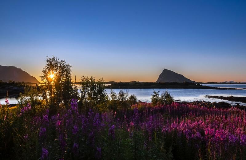 Best Places to Travel in June: Midnight Sun, the Med at Its Best and the Safari Season Opening