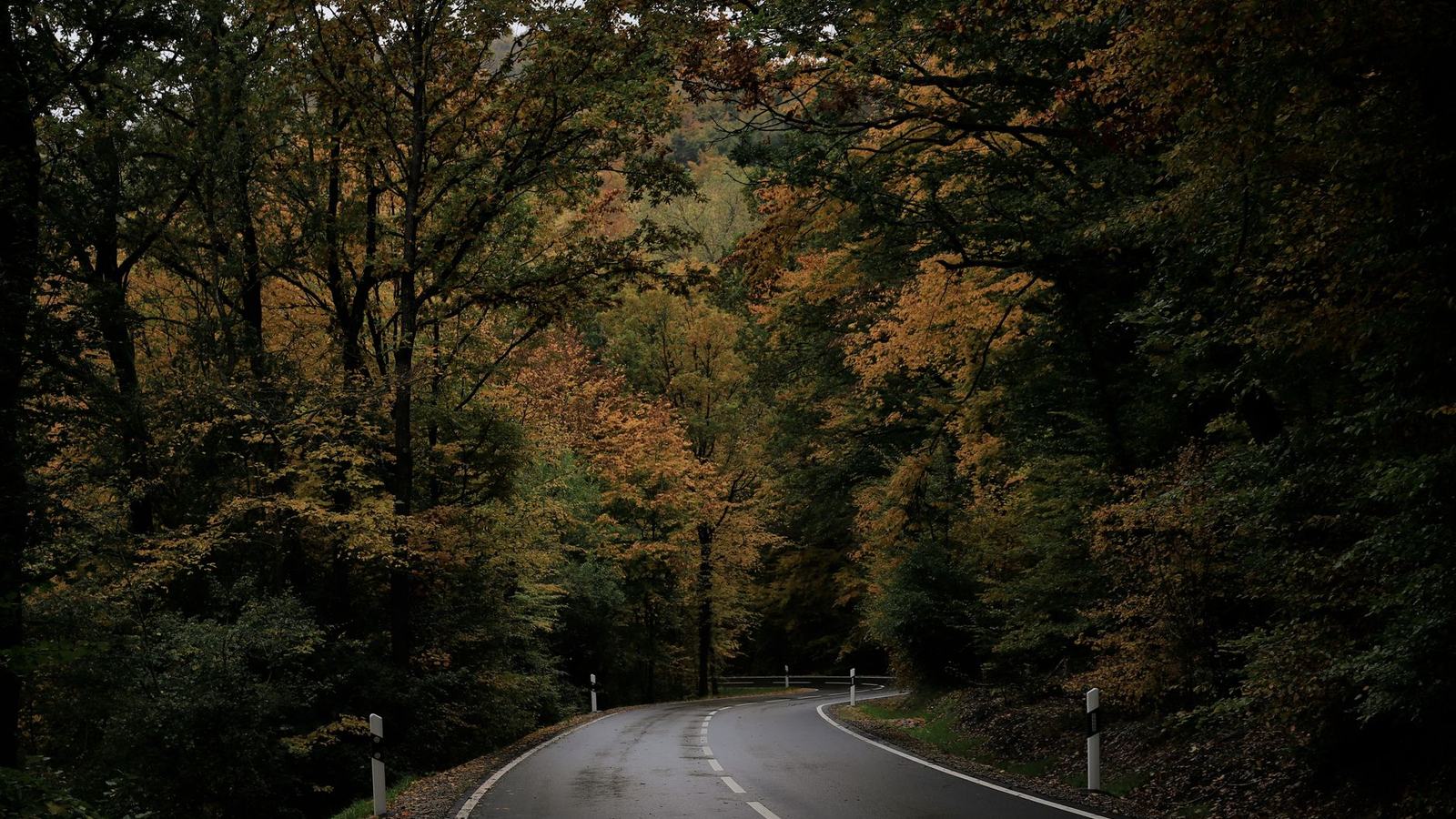 Best Places to Travel in October: Foliage, the Last Warm Seas, and the Return of the Dry Seasons