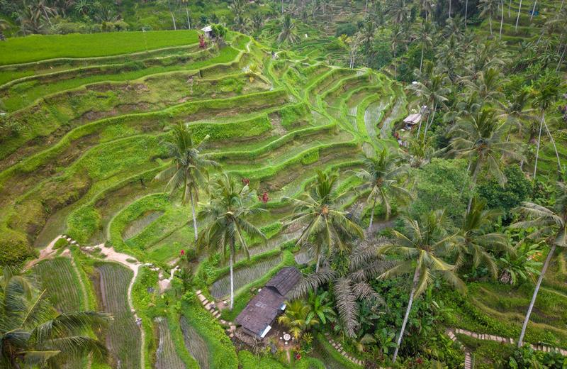 Best Time to Visit Bali: Dry Season, Nyepi, Surf Swells and the Rainy-Season Bargains