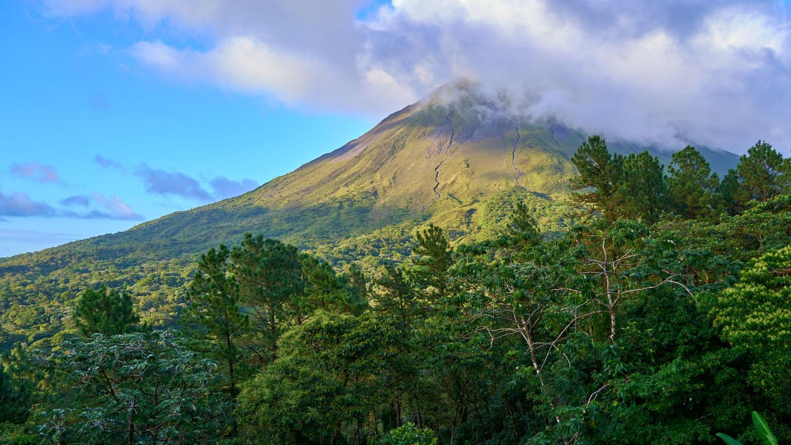 Best Time to Visit Costa Rica: Dry Season, Green Season and the Turtle and Whale Calendars