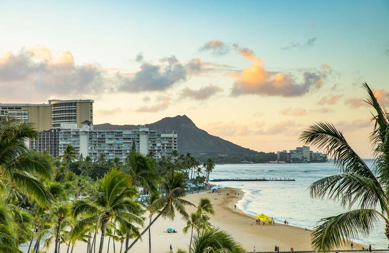 Best Time to Visit Hawaii: Whale Season, Surf Season and When Waikiki Is Cheapest