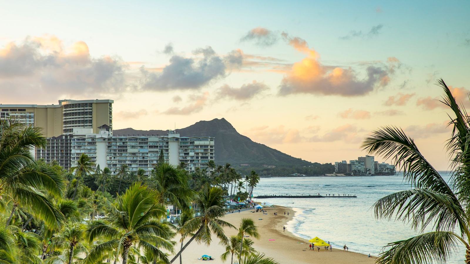 Best Time to Visit Hawaii: Whale Season, Surf Season and When Waikiki Is Cheapest