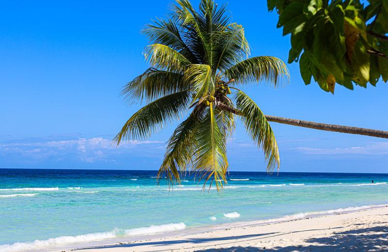 Best Time to Visit Jamaica: Dry Season, Reggae Sumfest and the Hurricane Discount