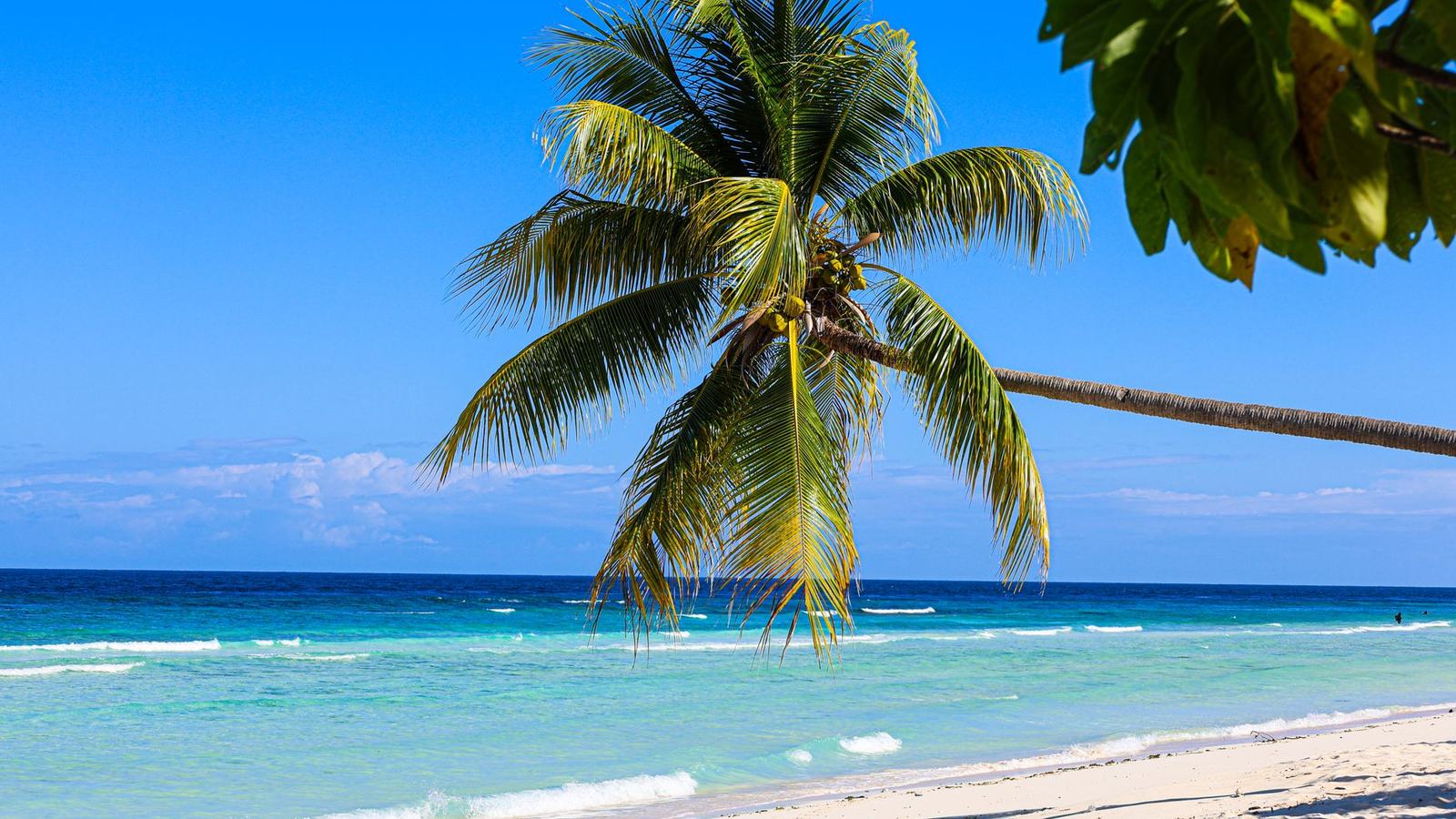 Best Time to Visit Jamaica: Dry Season, Reggae Sumfest and the Hurricane Discount