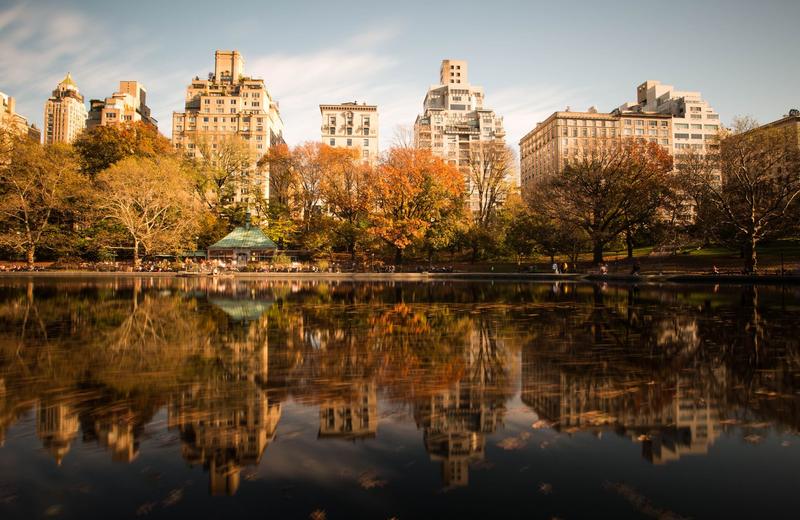 Best Time to Visit New York: Fall Is the Answer — and Here Is What Each Season Costs