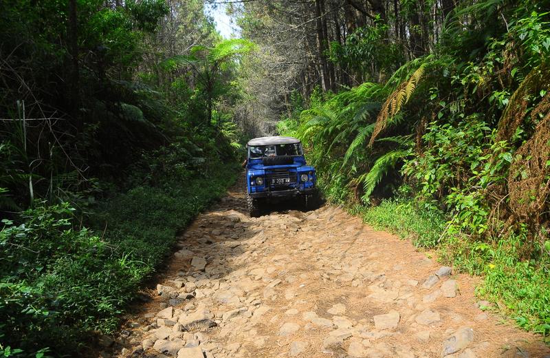 Renting a Car in Costa Rica: The Mandatory Insurance, 4x4 or Not, and the Roads That Decide It