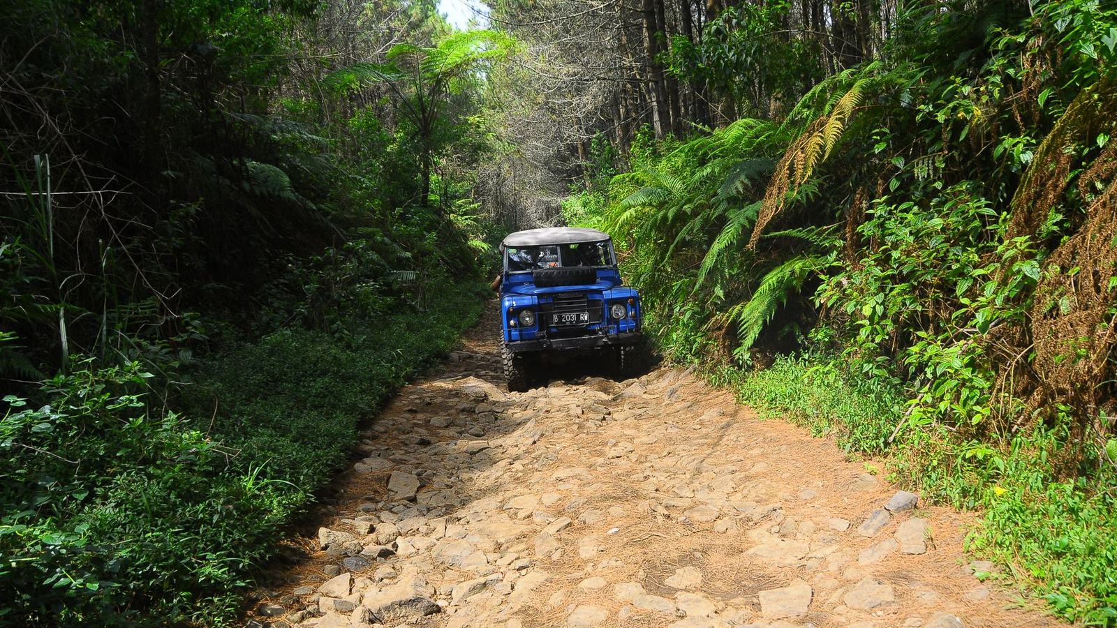 Renting a Car in Costa Rica: The Mandatory Insurance, 4x4 or Not, and the Roads That Decide It