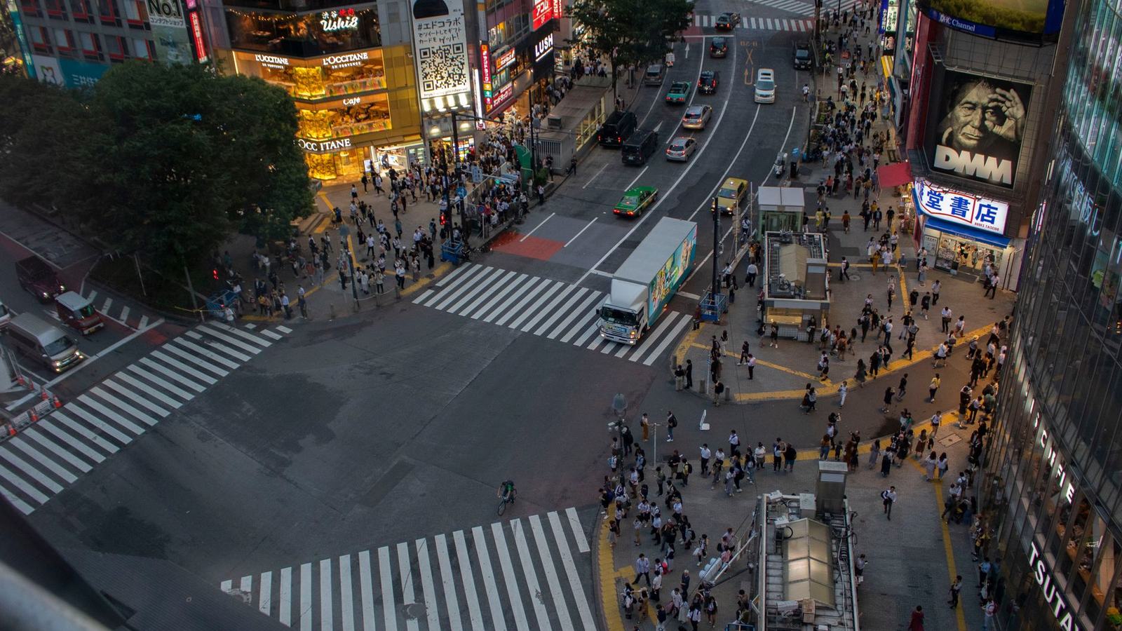 Things to Do in Tokyo: Shibuya to Asakusa, teamLab to Tsukiji, and the Day Trips That Matter