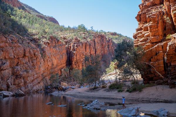 Larapinta Trail, Northern Territory, Australia