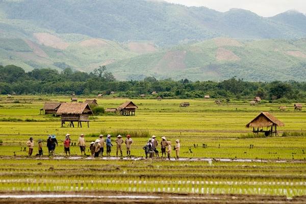 Luang Namtha, Laos