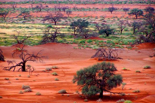 Sossusvlei, Namibia
