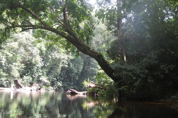 Taman Negara, Malaysia