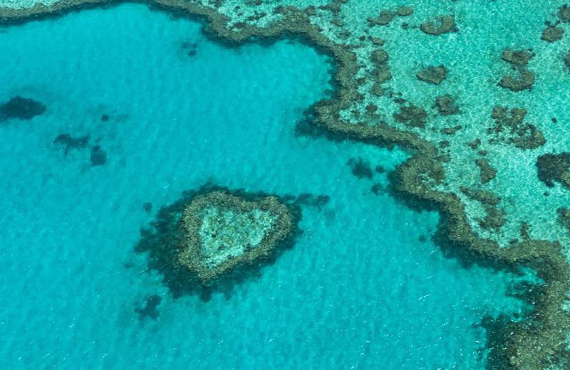 The Great Barrier Reef: Cairns, Port Douglas or the Whitsundays — Where to Get in the Water