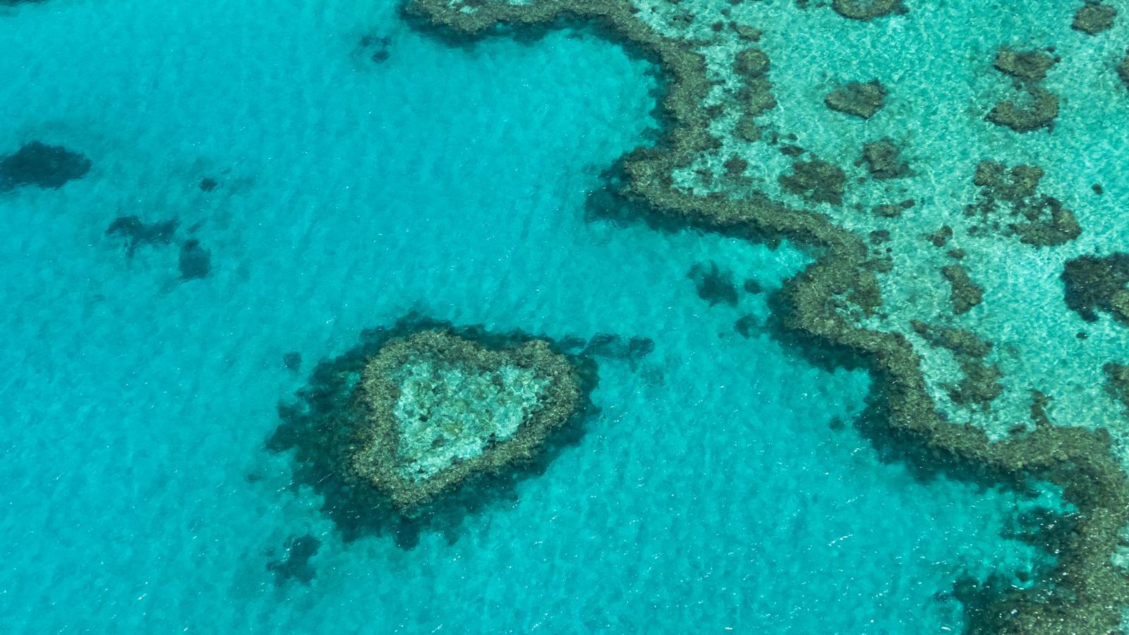 The Great Barrier Reef: Cairns, Port Douglas or the Whitsundays — Where to Get in the Water